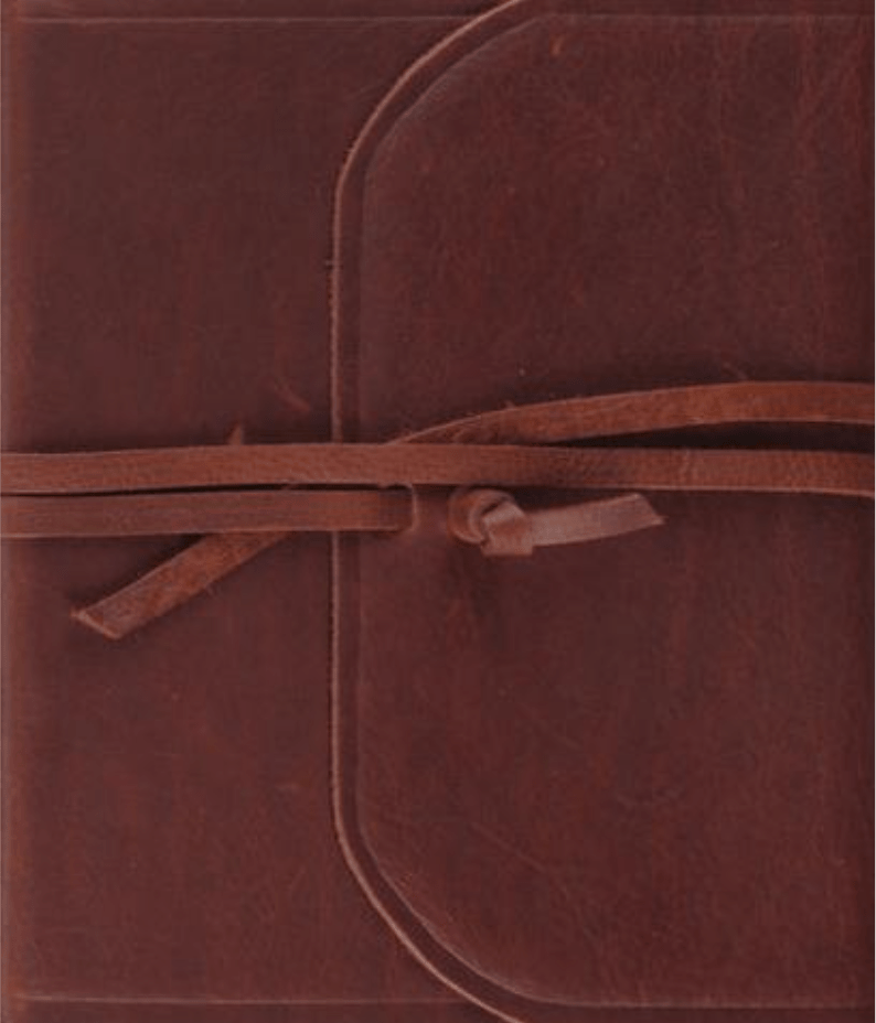 ESV Journaling Bible healthylivingmom.com