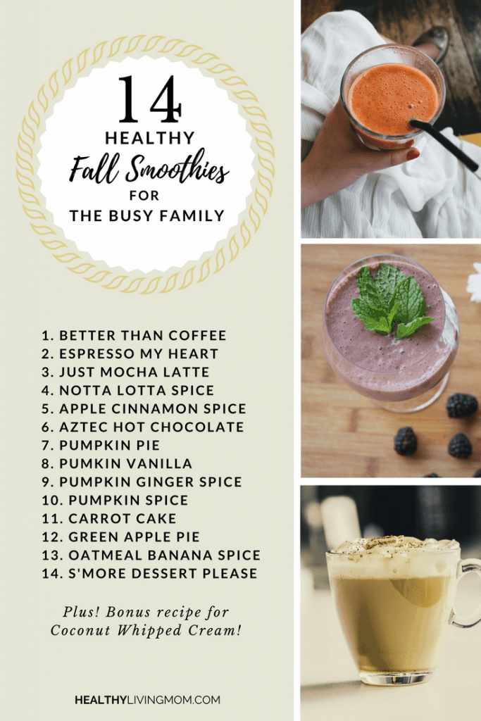 14 healthy fall smoothies for the busy family. In case you wondered—yes smoothies can be a hot drink. 14 recipes for the pumpkin spice lovers, apple cinnamon, hot chocolate and more!