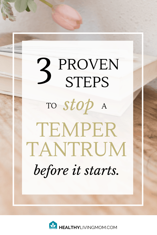 3 Proven Steps to Stop a Temper Tantrum Before It Starts 2